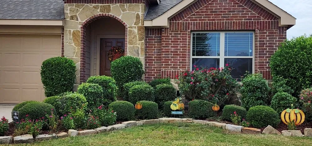 Local landscape installation for outdoor upgrades in Canton, TX by Lone Stars and Stripes Landscaping
