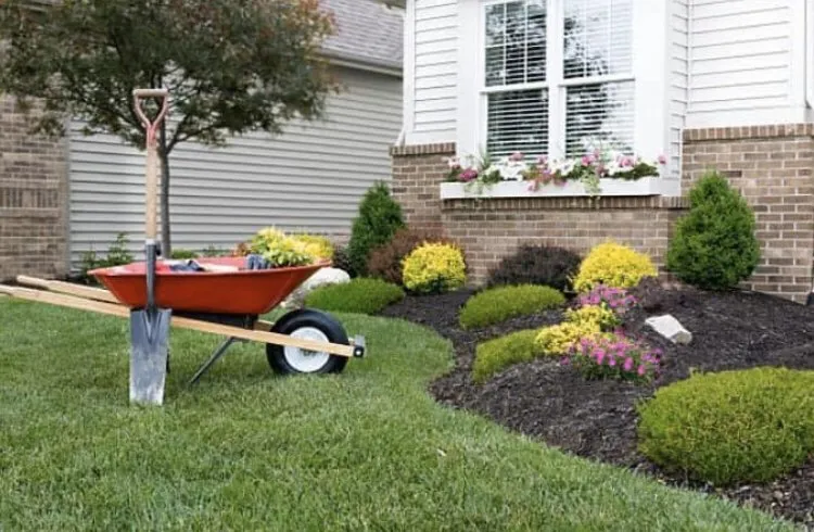 Expert lawn care service for beautiful yards across Canton, TX - Lone Stars and Stripes Landscaping