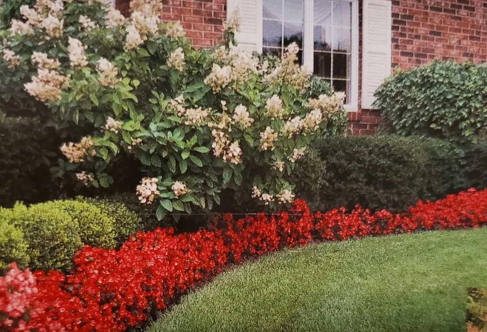 Trusted lawn mowing service for residential properties in Canton, TX by Lone Stars and Stripes Landscaping