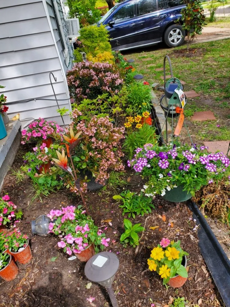 Trusted outdoor landscaping in Canton, TX - Lone Stars and Stripes Landscaping