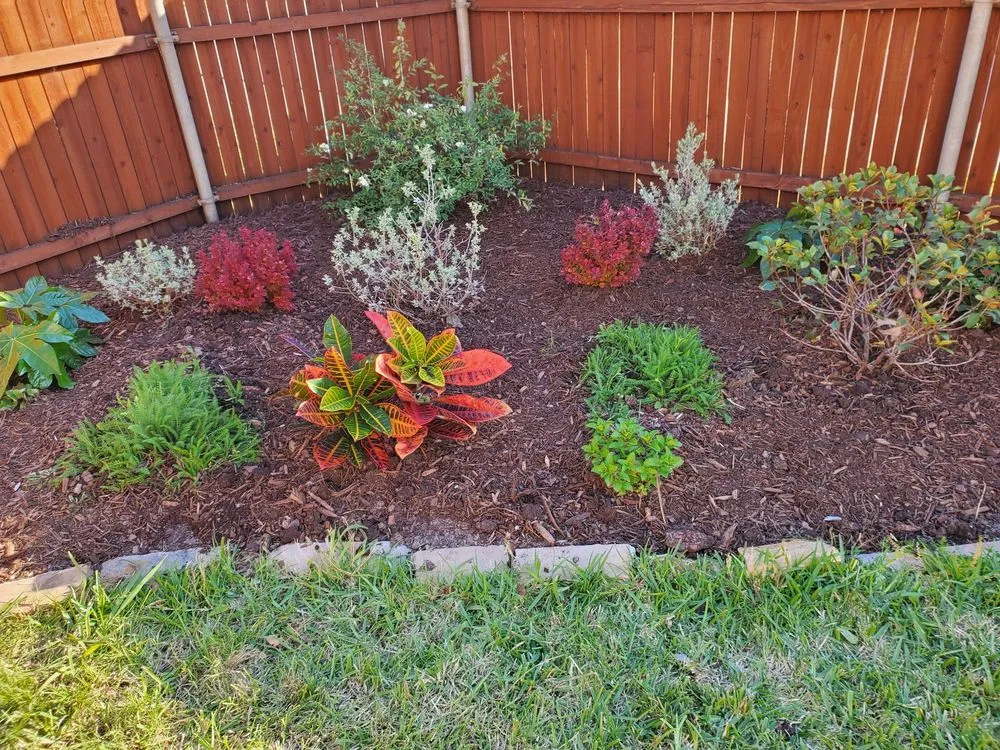 Custom yard cleanup service for year-round maintenance in Canton, TX by Lone Stars and Stripes Landscaping