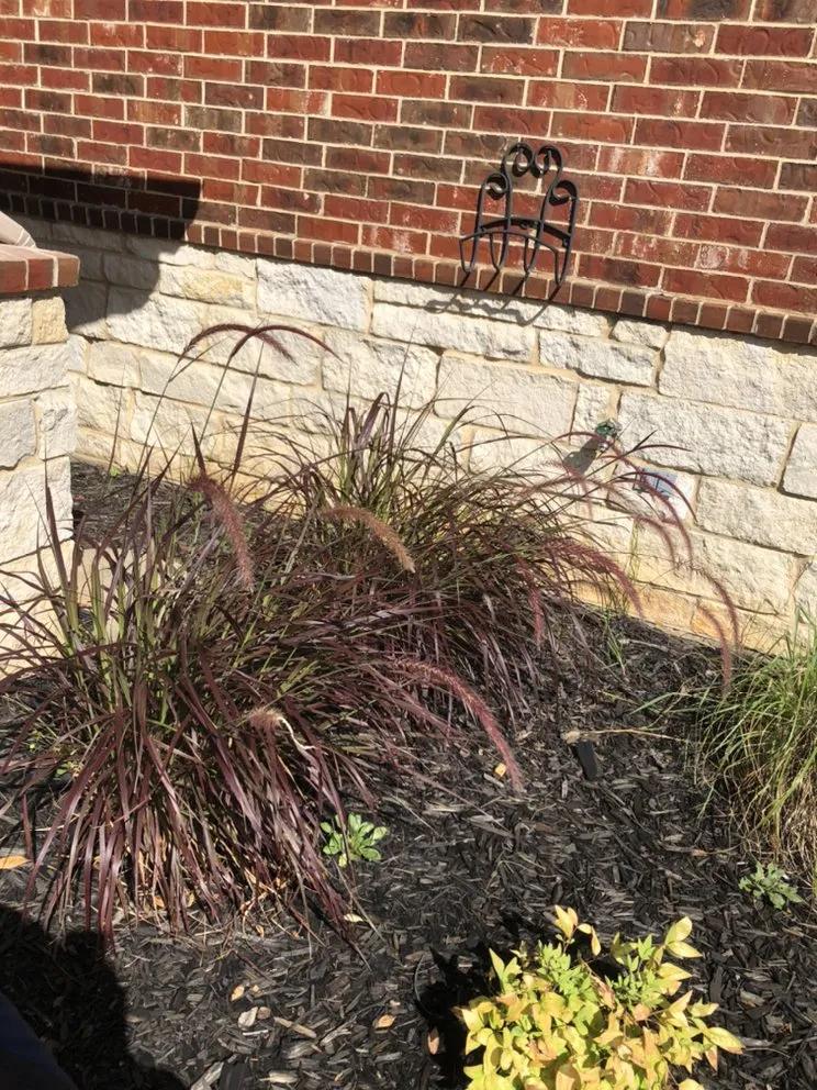 Trusted landscape installation for year-round maintenance across Canton, TX - Lone Stars and Stripes Landscaping