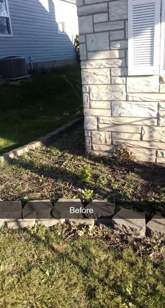 Expert landscape design experts serving Davenport, IA - Lone wolf Labor services