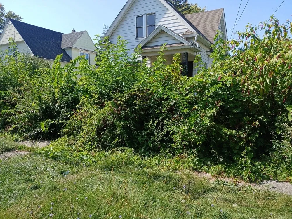 Custom landscaping services for beautiful yards across Reese, MI - Lone Wolf Land Management