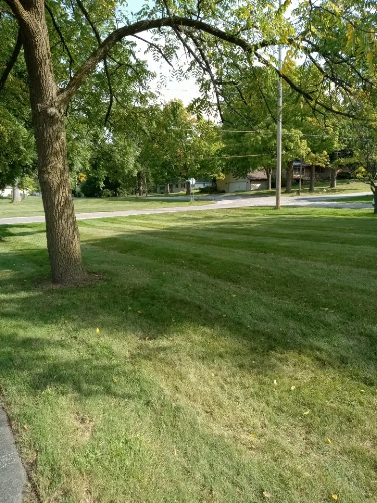 Local residential landscaping in Reese, MI - Lone Wolf Land Management