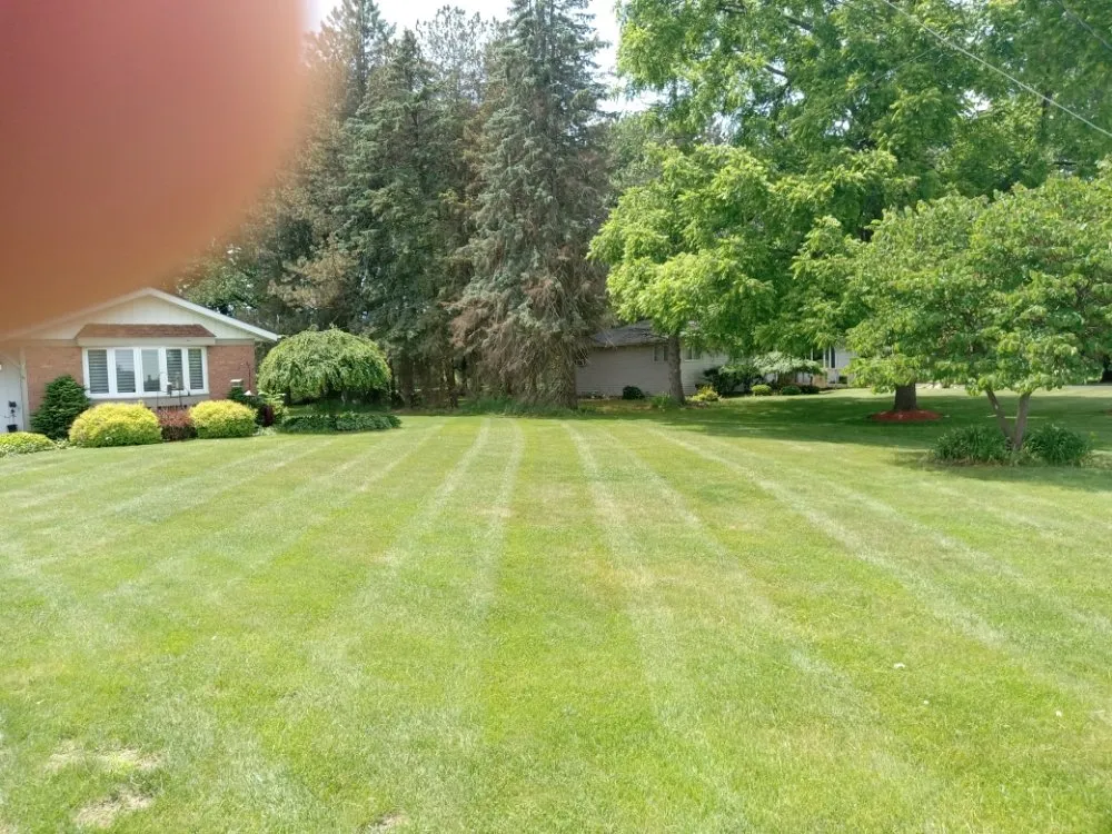 Trusted landscaping services experts serving Reese, MI - Lone Wolf Land Management