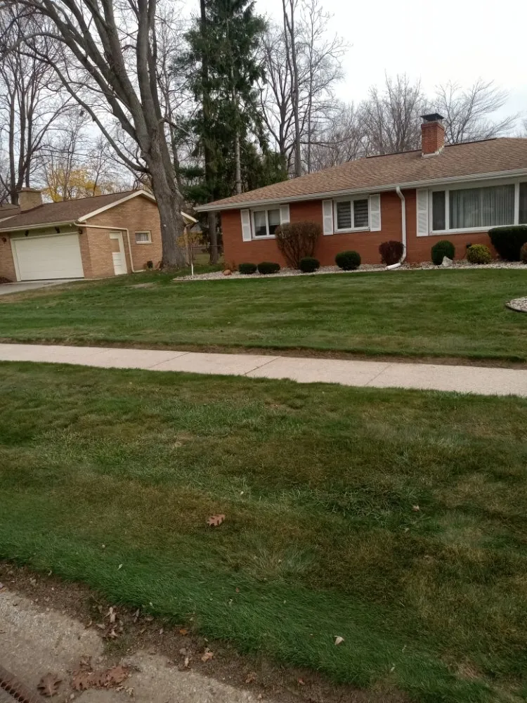 Custom residential landscaping experts serving Reese, MI - Lone Wolf Land Management