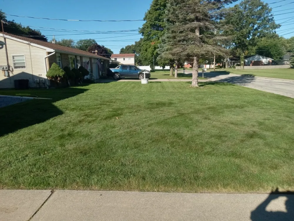 Reliable yard maintenance in Reese, MI by Lone Wolf Land Management