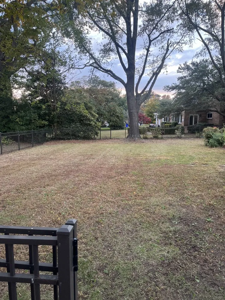 Local lawn mowing service for outdoor upgrades across Hampton, VA - Lone Wolf Lawn and Landscape