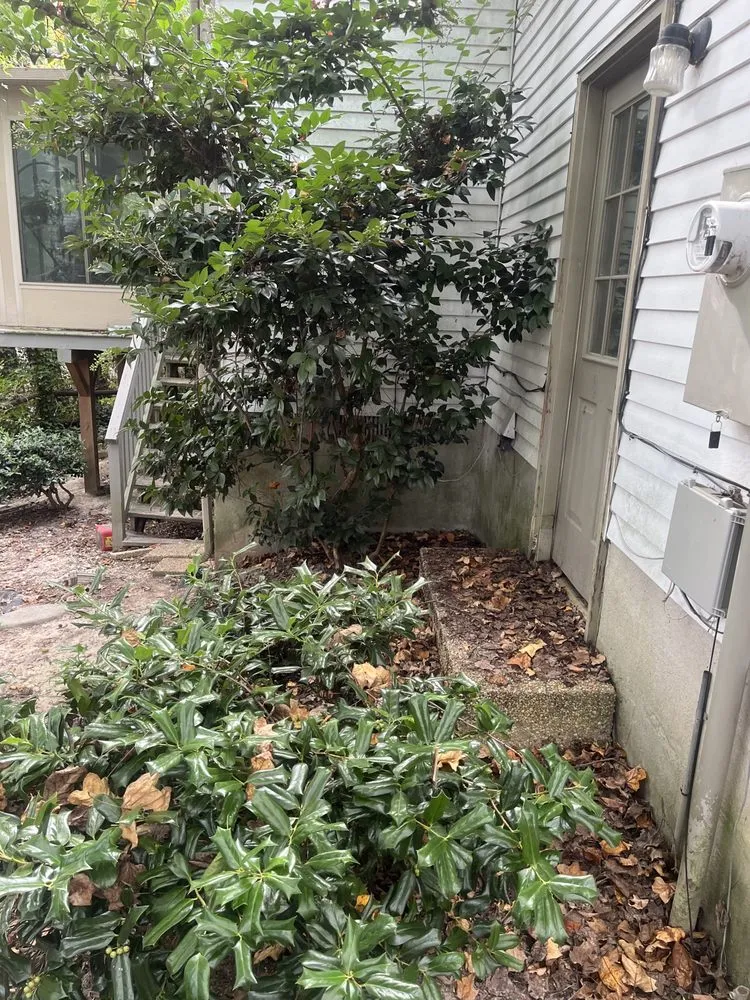 Local landscaping services experts serving Hampton, VA - Lone Wolf Lawn and Landscape