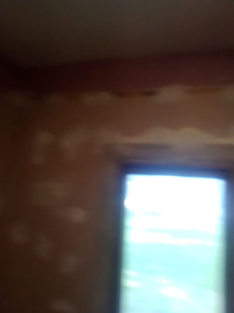 Professional lawn mowing service with custom design in Plymouth, NE by Lone Wolf Lawn Service