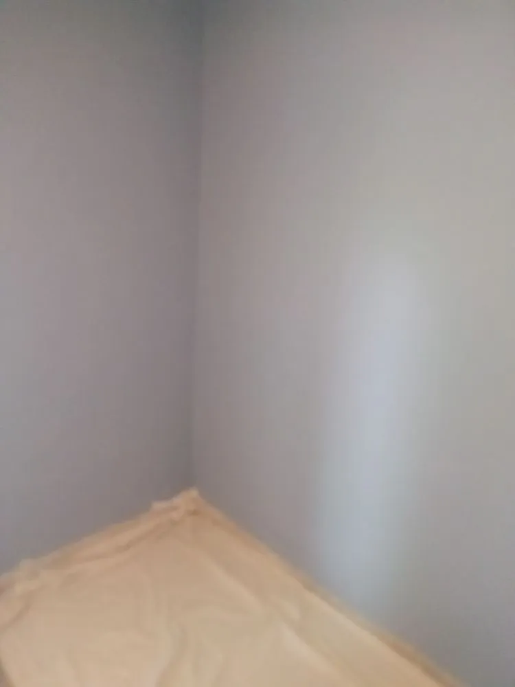 Trusted yard cleanup service experts serving Plymouth, NE - Lone Wolf Lawn Service