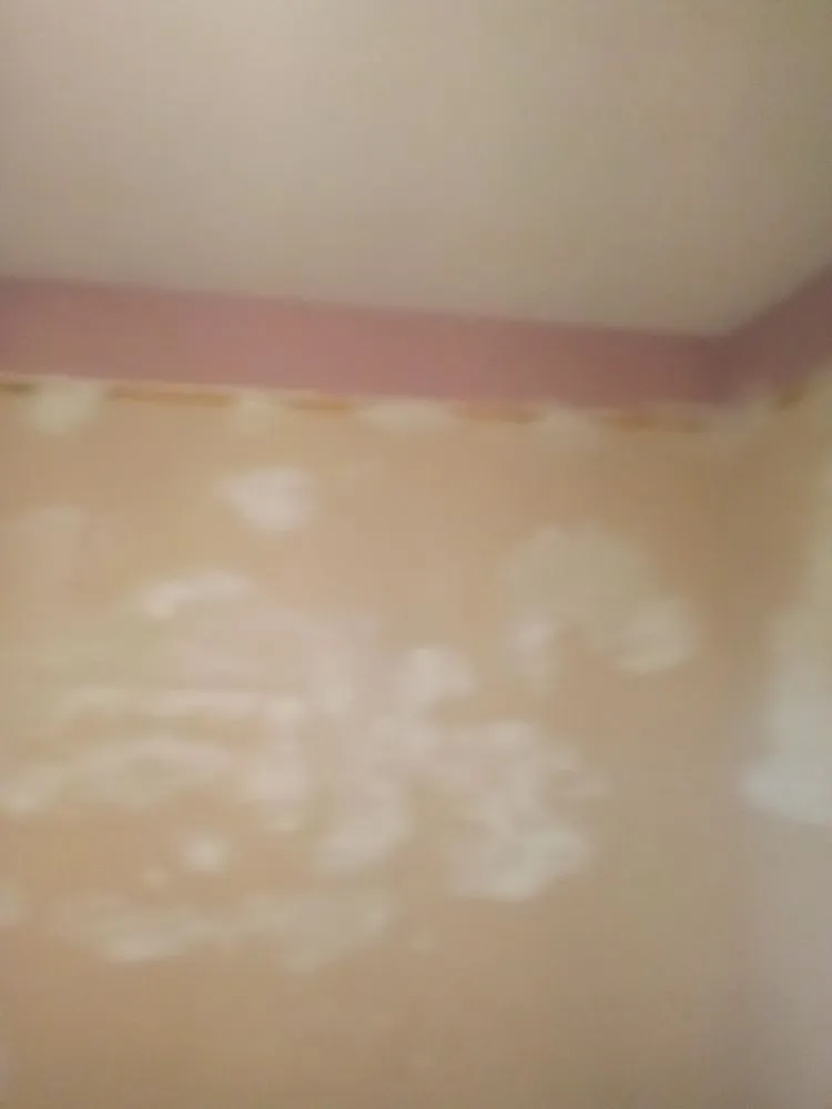 Trusted lawn care service experts serving Plymouth, NE - Lone Wolf Lawn Service