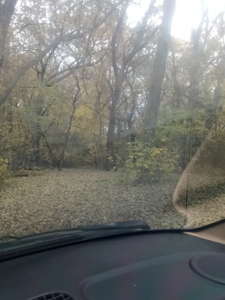 Local lawn mowing service with custom design in Plymouth, NE by Lone Wolf Lawn Service