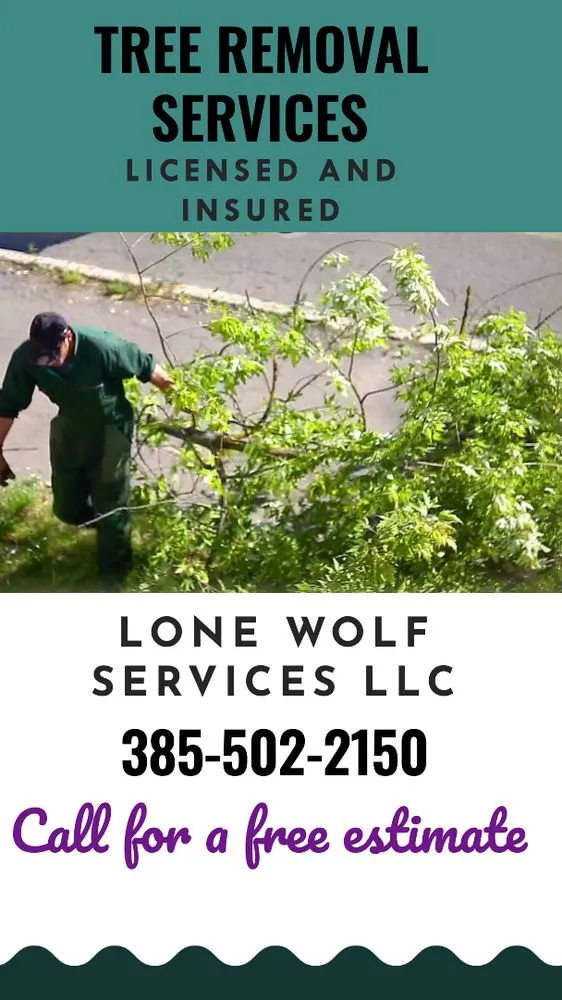 Local lawn care service in Clinton, UT - Lone Wolf Services