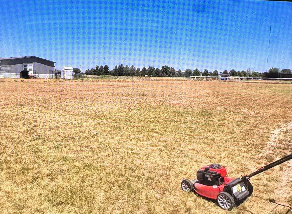 Affordable outdoor landscaping in Midland, TX - LoneOak Lawn Care