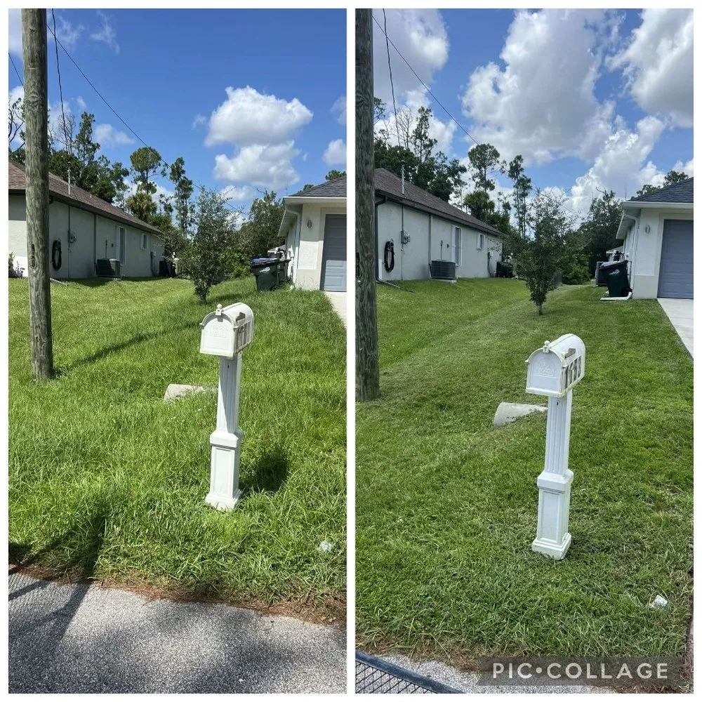 Professional lawn care service in Pt Charlotte, FL by Lonesky Landscaping