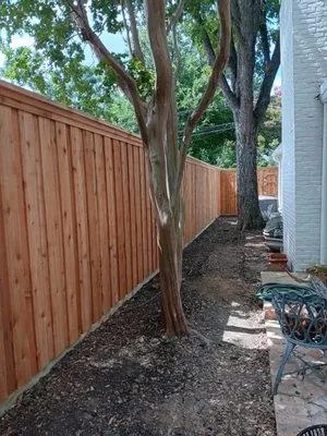 Lonestar Elite Landscaping & Turf