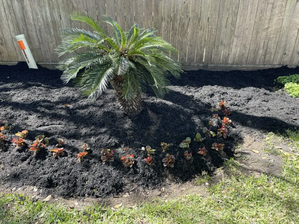 Reliable lawn care service in Katy, TX by Lonestar Landscaping & Design