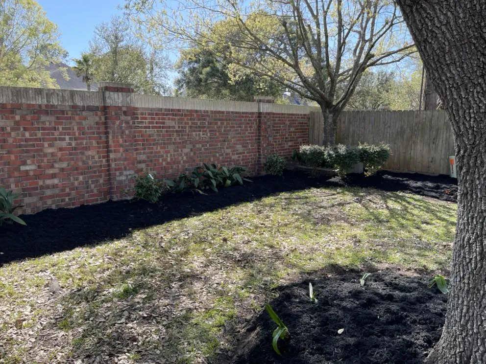 Local yard cleanup service for beautiful yards across Katy, TX - Lonestar Landscaping & Design