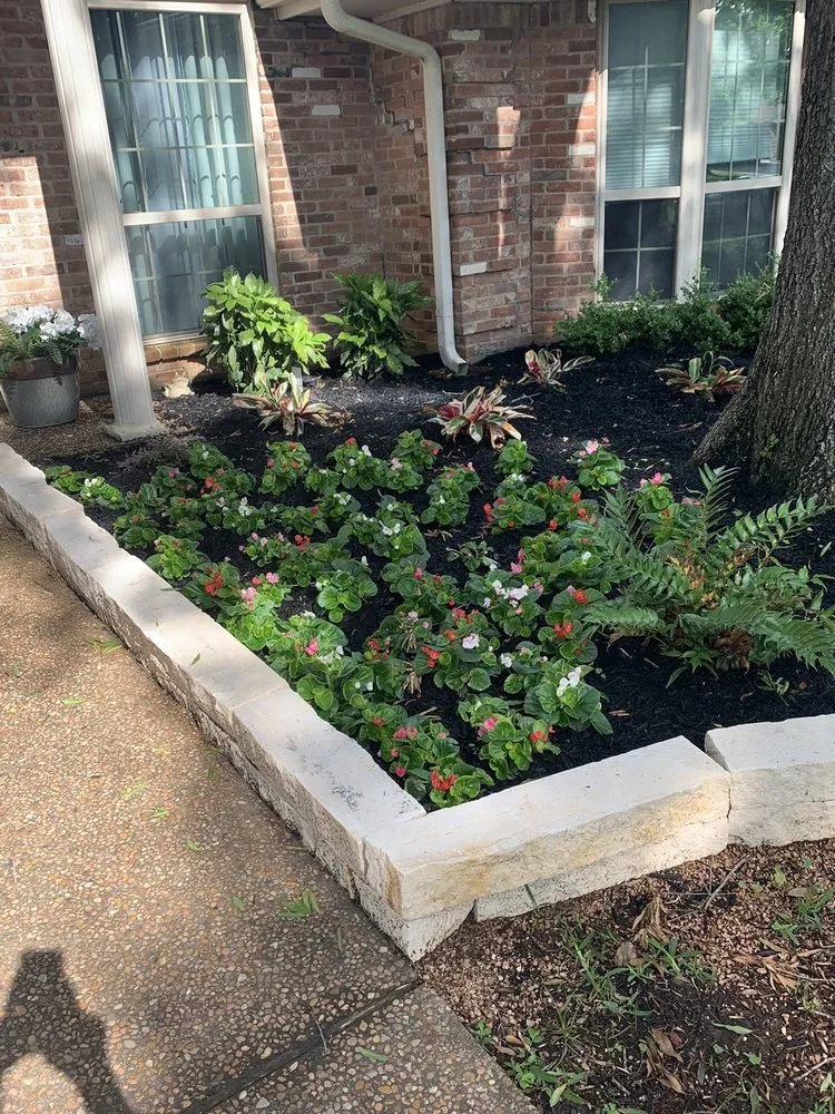 Reliable yard maintenance experts serving Katy, TX - Lonestar Landscaping & Design