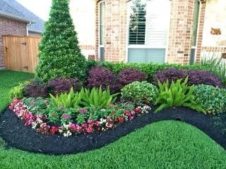 Professional yard maintenance in Katy, TX by Lonestar Landscaping & Design
