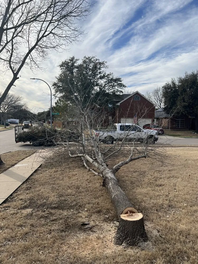 Local landscape design in Fort Worth, TX - Lonestar Landscaping & Holiday Lights