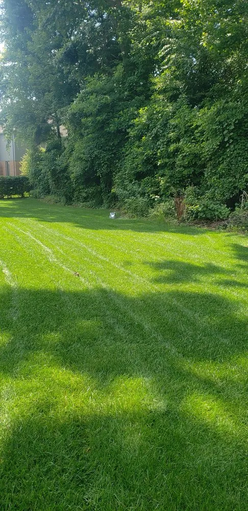 Custom residential landscaping near you in Macomb, MI by Lonestar Landscaping