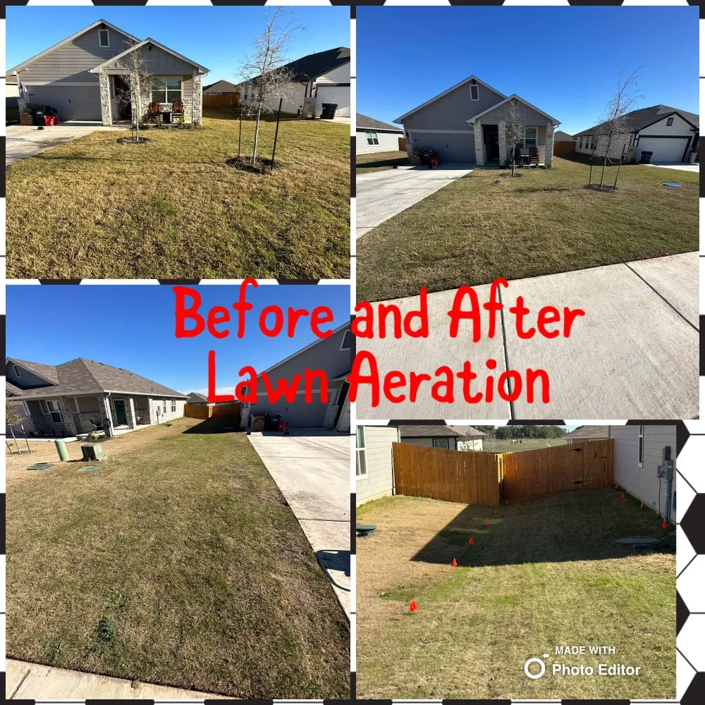 Expert yard cleanup service in Bertram, TX by Lonestar Lawn & Landscape