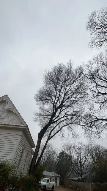 Custom landscape design in Joshua, TX by Lonestar Lawn & Landscape