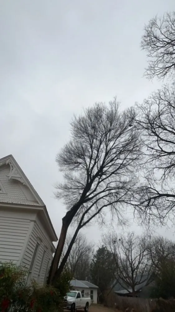 Local garden landscaping in Joshua, TX by Lonestar Lawn & Landscape