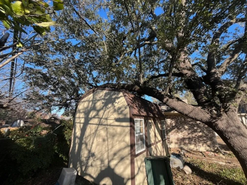 Reliable lawn mowing service in Joshua, TX - Lonestar Lawn & Landscape