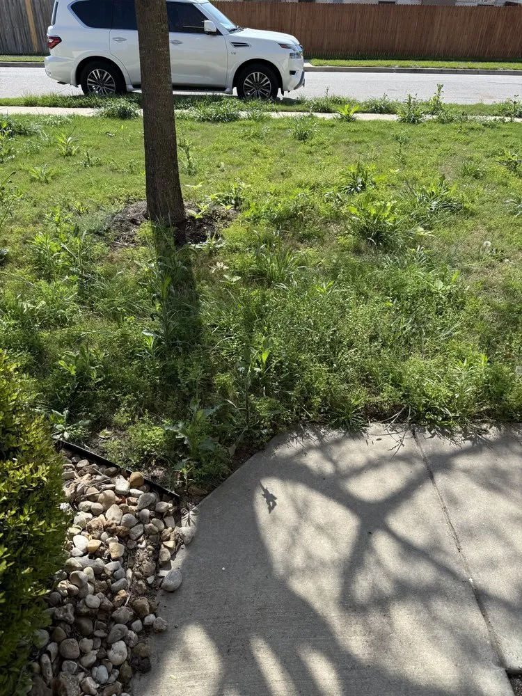 Trusted garden landscaping in Jarrell, TX by Lonestar Lawn Care