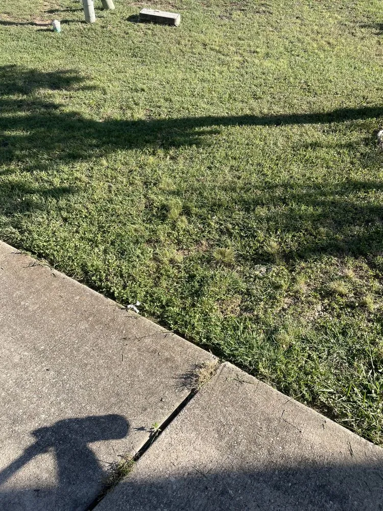 Trusted yard maintenance in Jarrell, TX - Lonestar Lawn Care