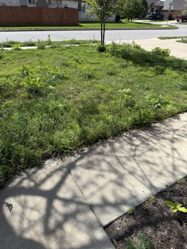 Expert landscape design in Jarrell, TX - Lonestar Lawn Care