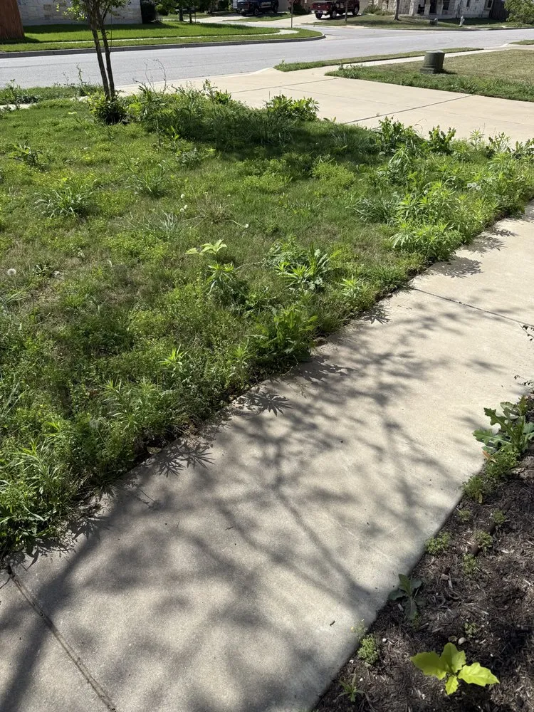 Professional residential landscaping for beautiful yards in Jarrell, TX by Lonestar Lawn Care