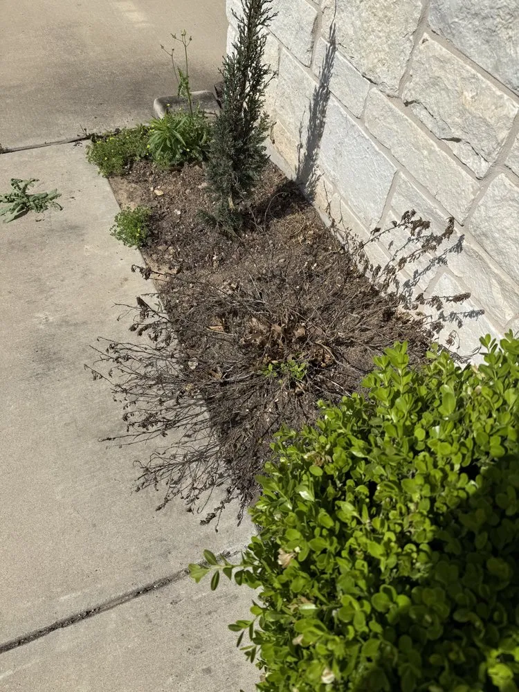 Custom lawn mowing service experts serving Jarrell, TX - Lonestar Lawn Care