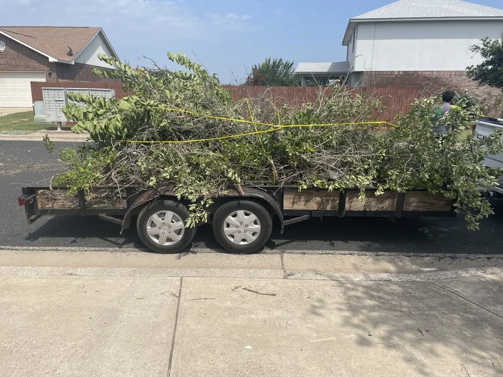 Trusted yard cleanup service in Jarrell, TX by Lonestar Lawn Care