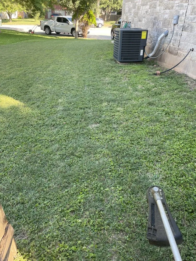 Professional yard maintenance near you in Jarrell, TX by Lonestar Lawn Care