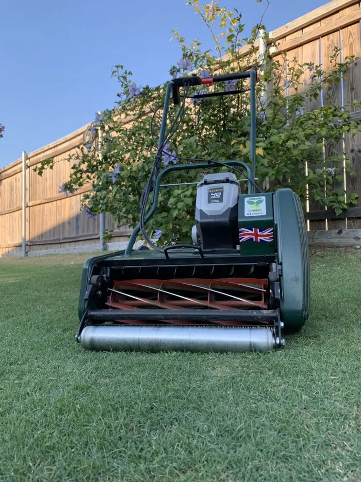 Top-rated yard cleanup service for residential properties across Little Elm, TX - Lonestar Seasons