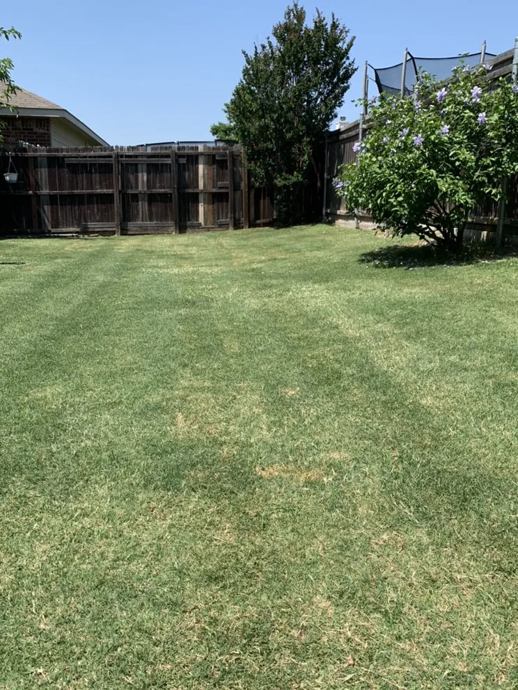 Top-rated outdoor landscaping experts serving Little Elm, TX - Lonestar Seasons