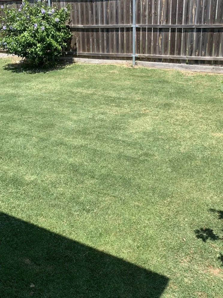 Expert residential landscaping experts serving Little Elm, TX - Lonestar Seasons