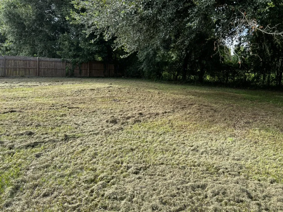 Local residential landscaping in Live Oak, FL by Lonewolf Landscaping