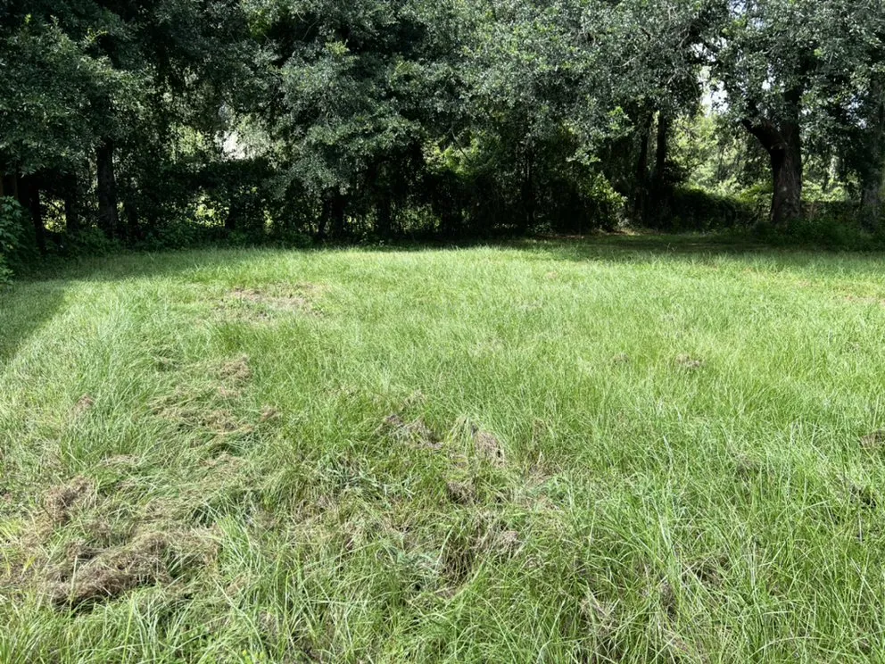 Local yard cleanup service near you in Live Oak, FL by Lonewolf Landscaping