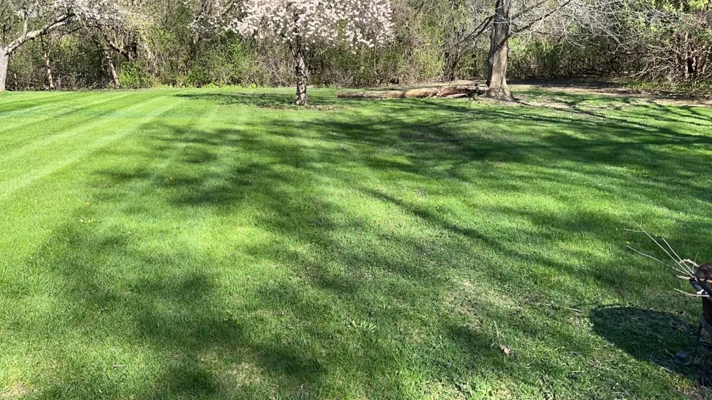 Local yard maintenance for homes in Round Lake Park, IL by Lonewolfs Lawn Services