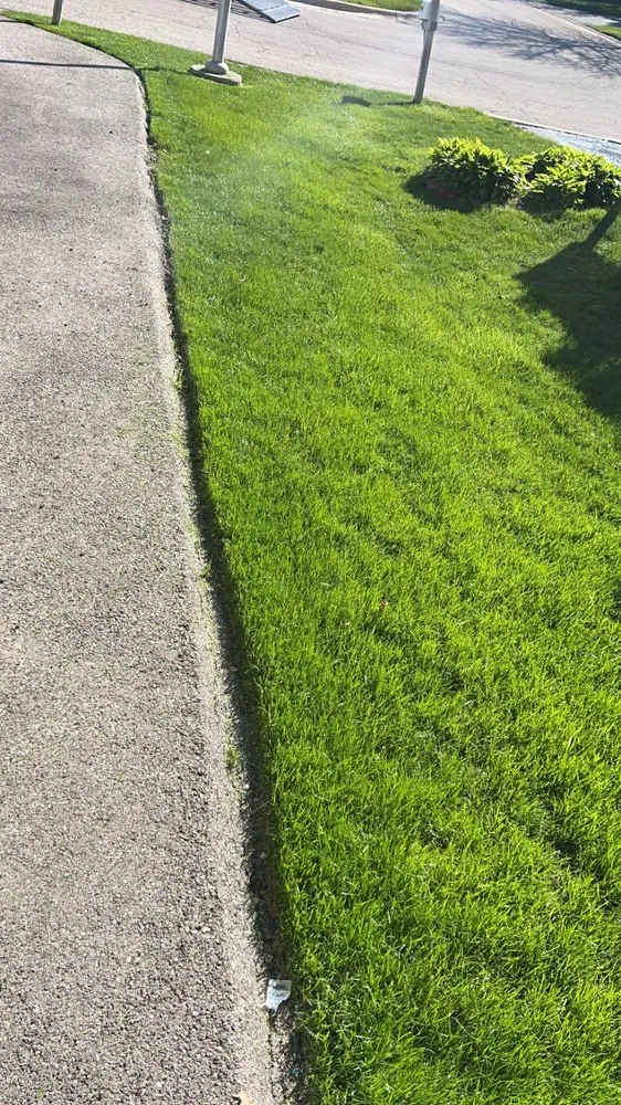 Reliable lawn care service experts serving Round Lake Park, IL - Lonewolfs Lawn Services