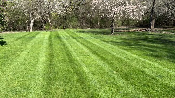 Lonewolfs Lawn Services