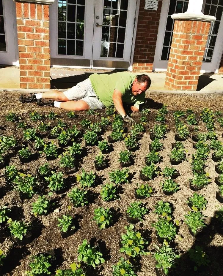 Local residential landscaping in Raleigh, NC by Long Brothers Landscaping