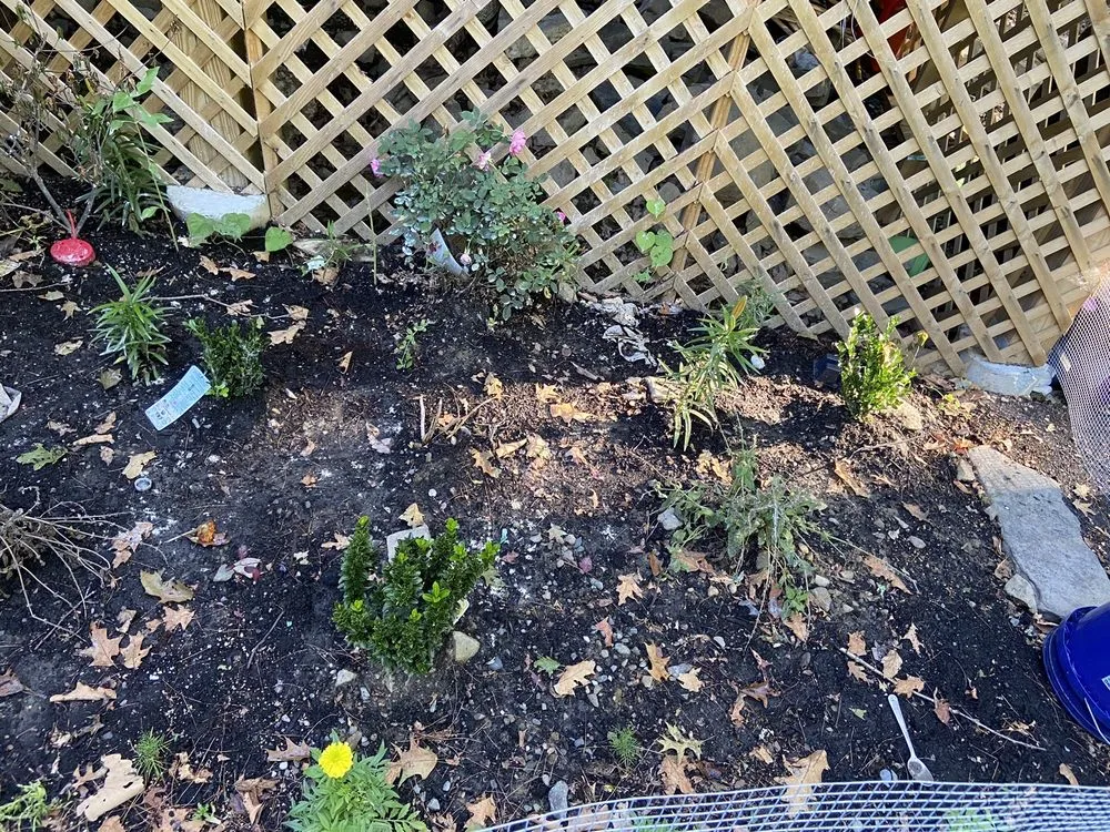 Trusted yard cleanup service in Dingmans Ferry, PA - Long Cloud Carpentry and Landscaping