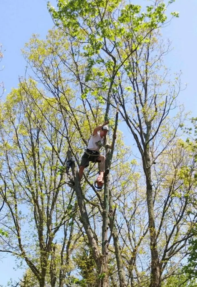 Professional landscaping services in Dingmans Ferry, PA - Long Cloud Carpentry and Landscaping